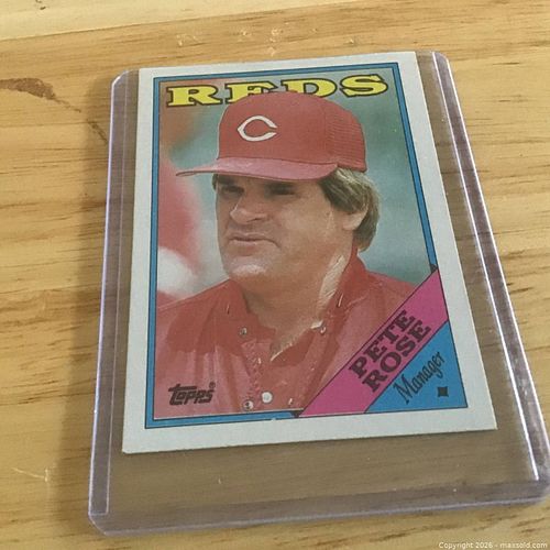 Lot #37 (1 of 4)