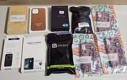 Lot #65 (1 of 11)