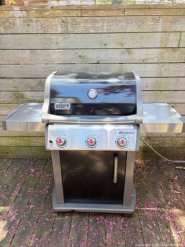 Lot #479 (1 of 12)
