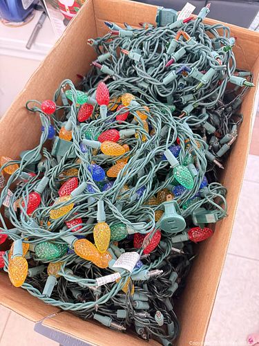 Indoor/outdoor Christmas lights  (1 of 6)