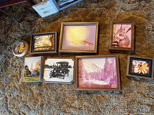 Lot #71 (1 of 11)