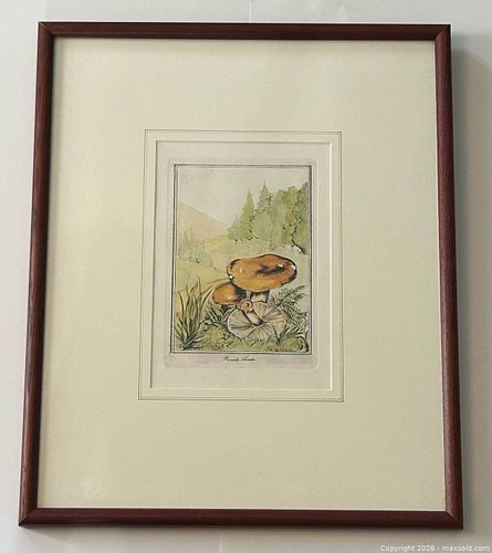Lot #35 (1 of 16)