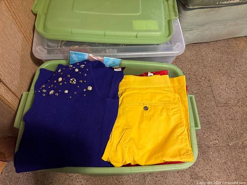 Clothing and Accessories in Two Storage Bins (1 of 16)