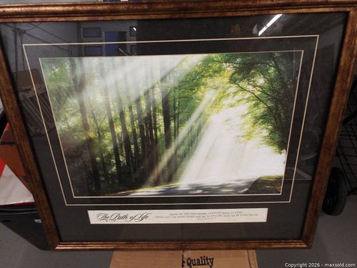 Lot #55 (1 of 5)