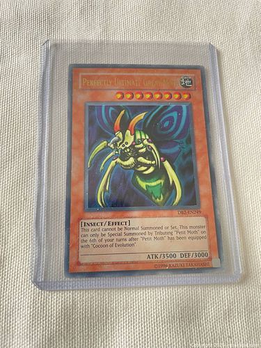 Lot #61 (1 of 2)