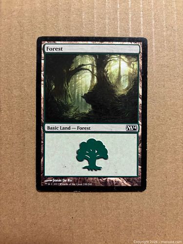 Lot #3 (1 of 2)