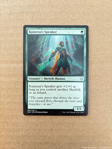 Lot #71 (1 of 2)