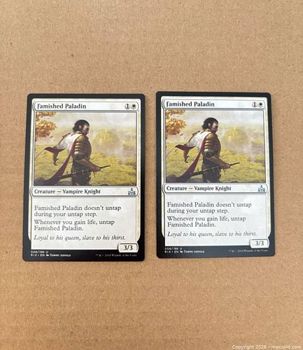 Lot #46 (1 of 4)