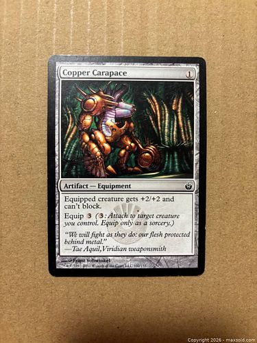 Lot #13 (1 of 2)