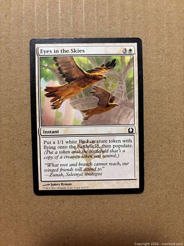 Lot #29 (1 of 2)