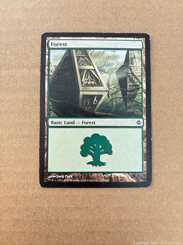 Lot #42 (1 of 2)