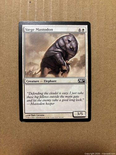 Lot #25 (1 of 2)