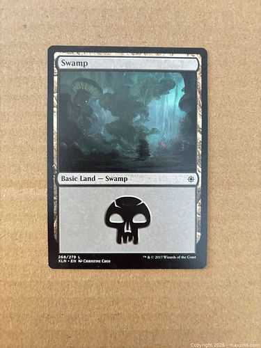 Lot #49 (1 of 2)