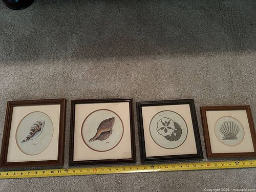 Lot #41 (1 of 7)