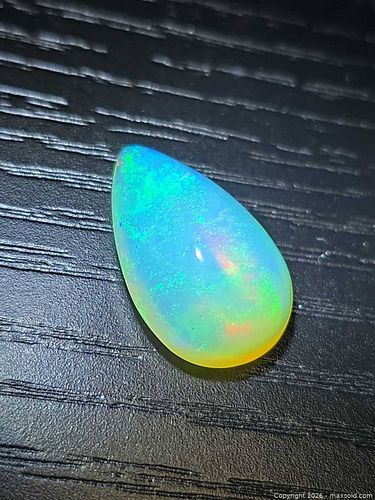 Lot #21 (1 of 10)