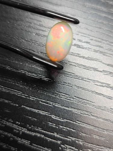 Lot #12 (1 of 10)