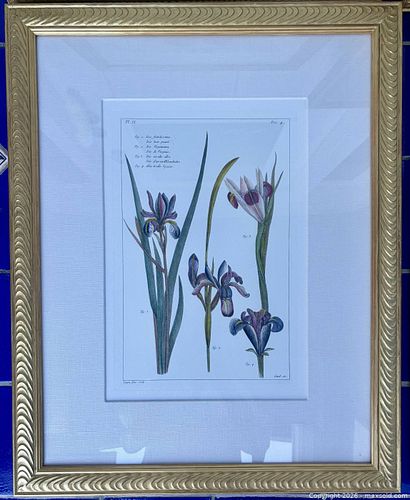 Lot #105 (1 of 4)