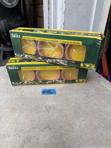Lot #25 (1 of 2)