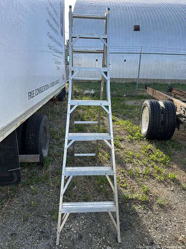 Lot #53 (1 of 5)