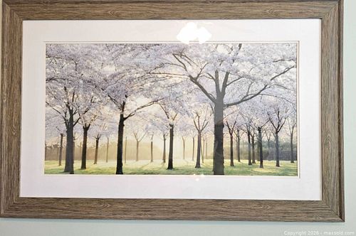 Lot #137 (1 of 3)