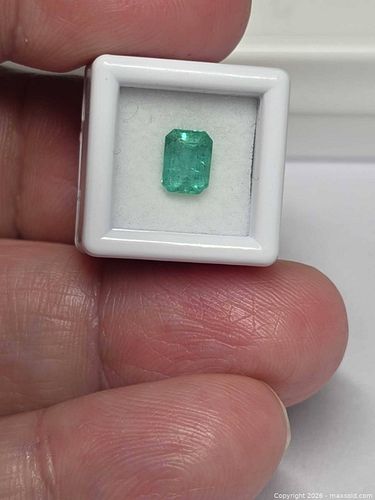 Lot #51 (1 of 7)