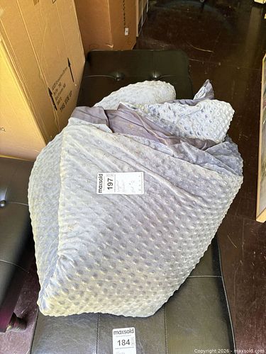 Lot #197 (1 of 5)