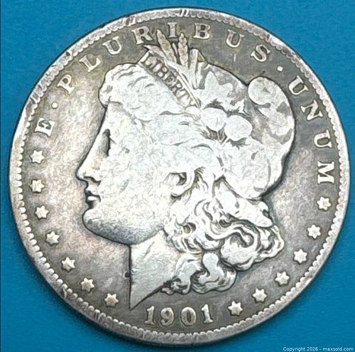 Lot #19 (1 of 3)