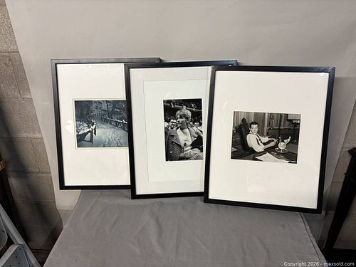 Lot #791 (1 of 18)