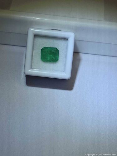 Lot #19 (1 of 9)