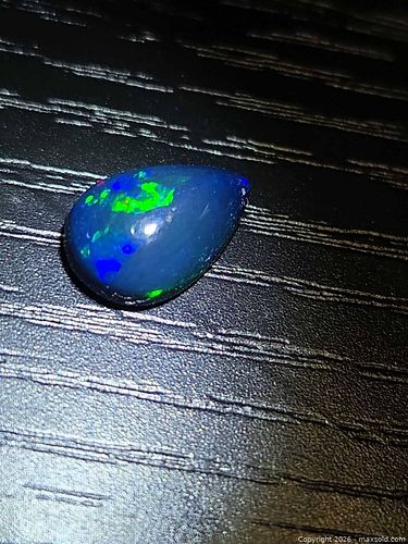 Lot #39 (1 of 14)
