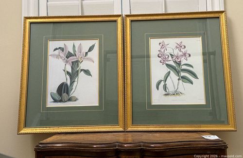 Lot #6 (1 of 10)