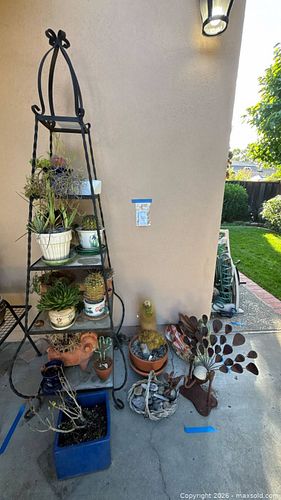 Lot #528 (1 of 11)