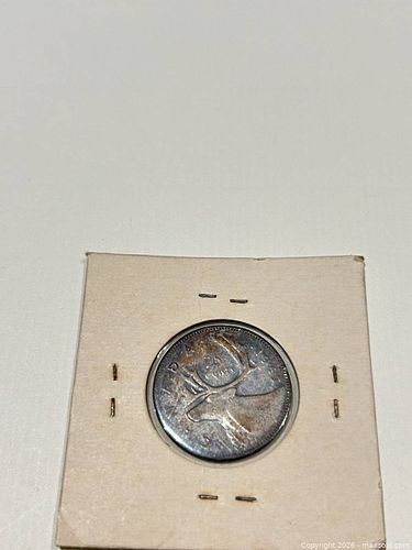 Lot #77 (1 of 3)