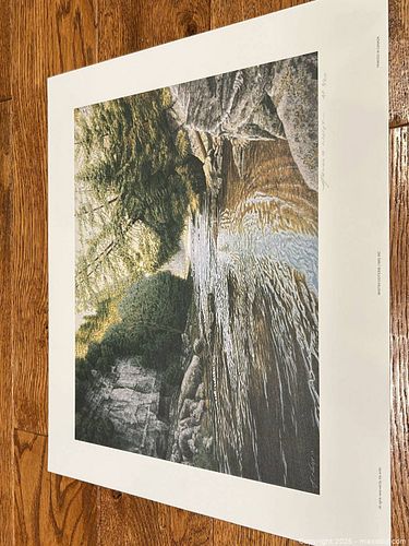Lot #43 (1 of 4)