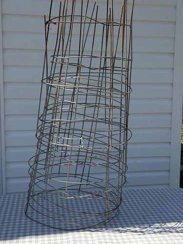 Lot #858 (1 of 3)