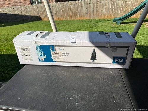 Lot #66 (1 of 4)