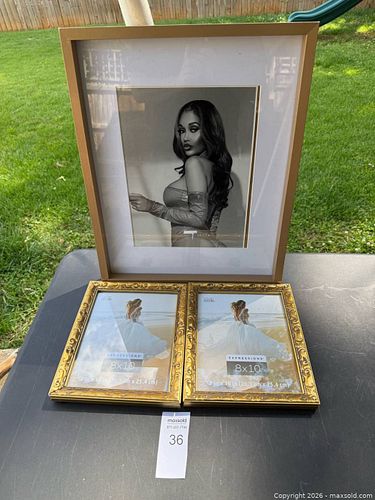 Lot #36 (1 of 3)