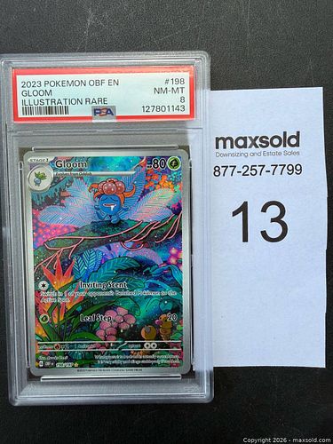 Lot #13 (1 of 3)