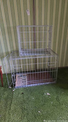 Lot #584 (1 of 8)