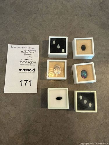 Lot #171 (1 of 17)