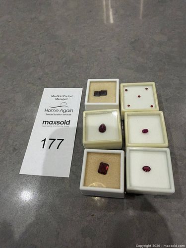 Lot #177 (1 of 13)