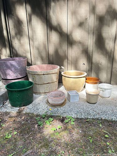 Lot #79 (1 of 5)
