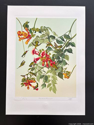 Lot #17 (1 of 10)