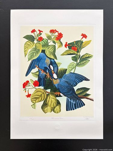 Lot #38 (1 of 13)