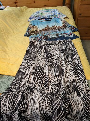 2 Women's Tops & 1 Skirt, name branded Tradition Country Collection + Alfred Dunner (1 of 6)
