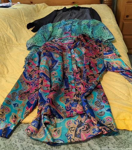 3 Dressy Blouses – Allison Daley, etc., most larger sizes (1 of 5)