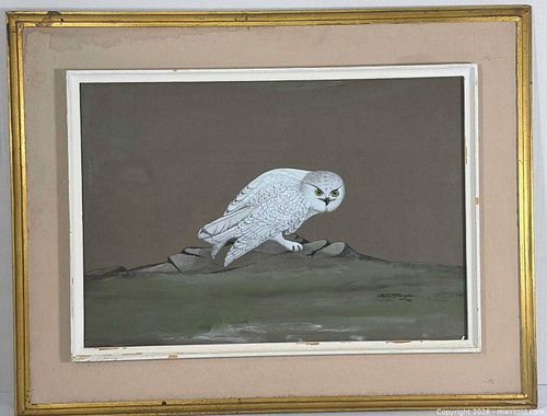 Lot #442 (1 of 15)