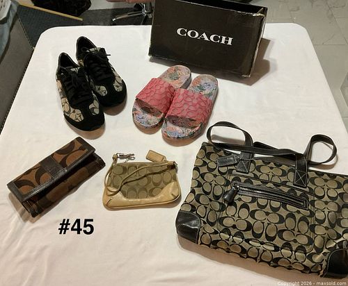 Lot #45 (1 of 19)
