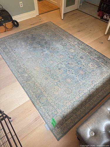 Carpet (1 of 4)