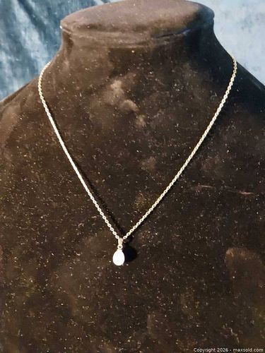 Lot #104 (1 of 10)